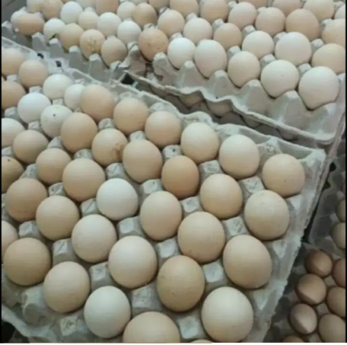 RIR-Fresh-Eggs-Chak-Beli-Khan-Rawalpindi
