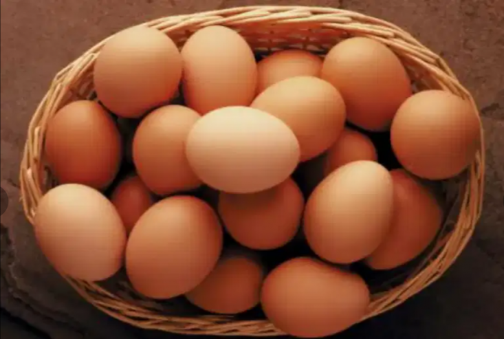 white-and-golden-heavy-buff-cochin-fertile-eggs