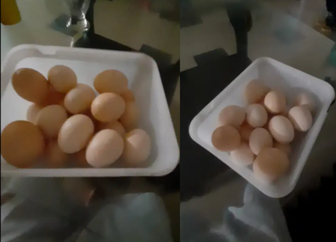 Peela-n-mushka-aseel-eggs